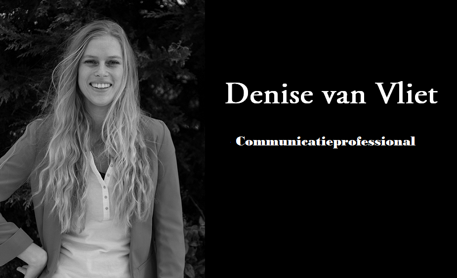 Denise website 2